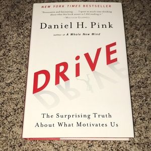 Drive  The Surprising Truth About What Motivates